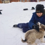 The Dog House слот игра с позитивными эмоциями и успехом