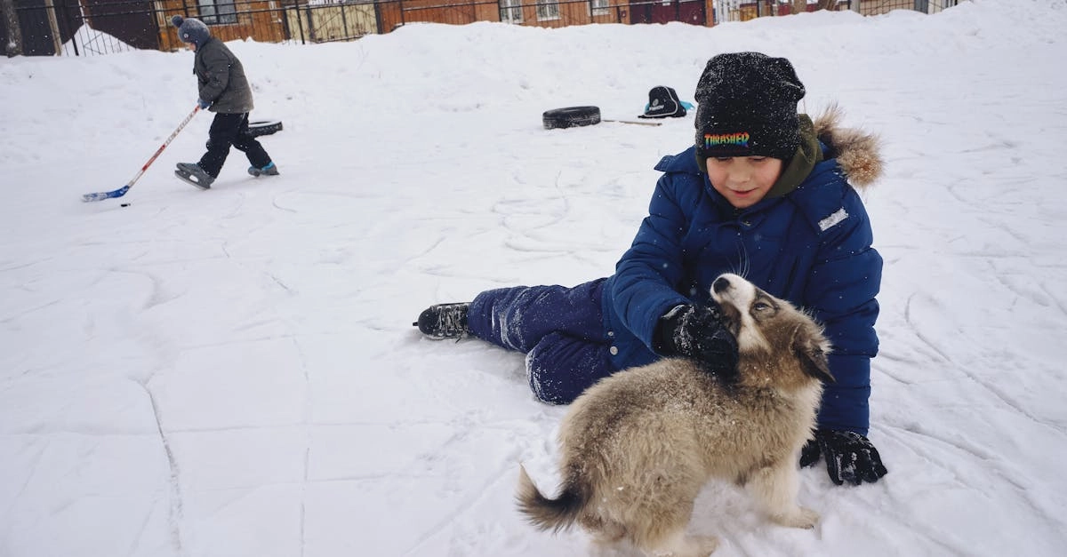 The Dog House слот игра с позитивными эмоциями и успехом